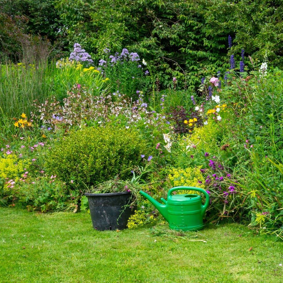 all the tools needed for a day of weeding and pruning in a beautiful summer garden full of plants.