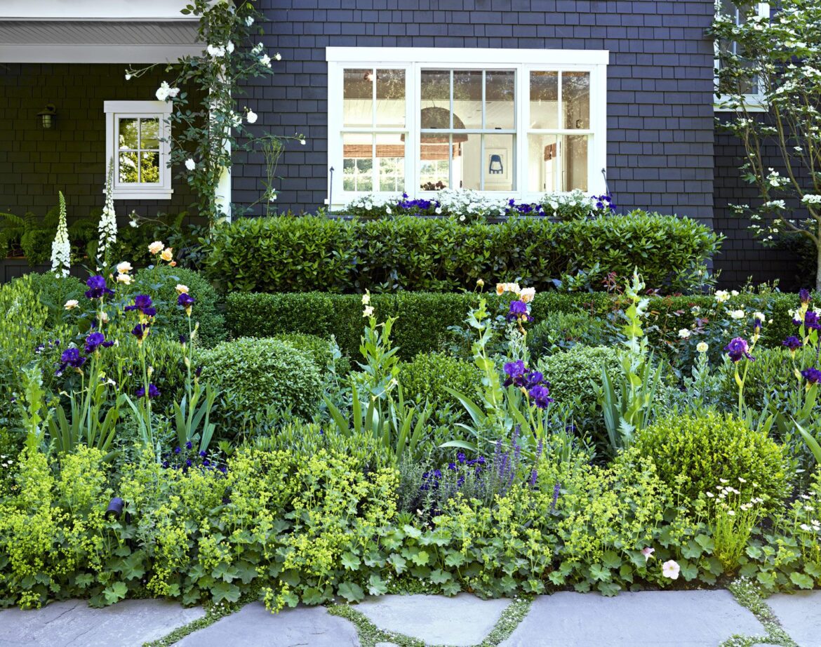 Expert Tips for Growing and Designing with Boxwood in Your Garden