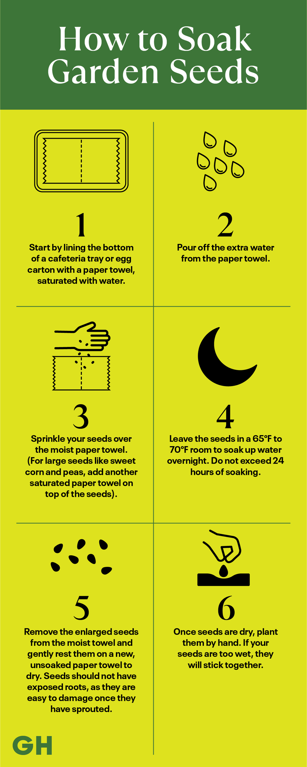 how to soak garden seeds - step by step guide illustration step by step guide illustration