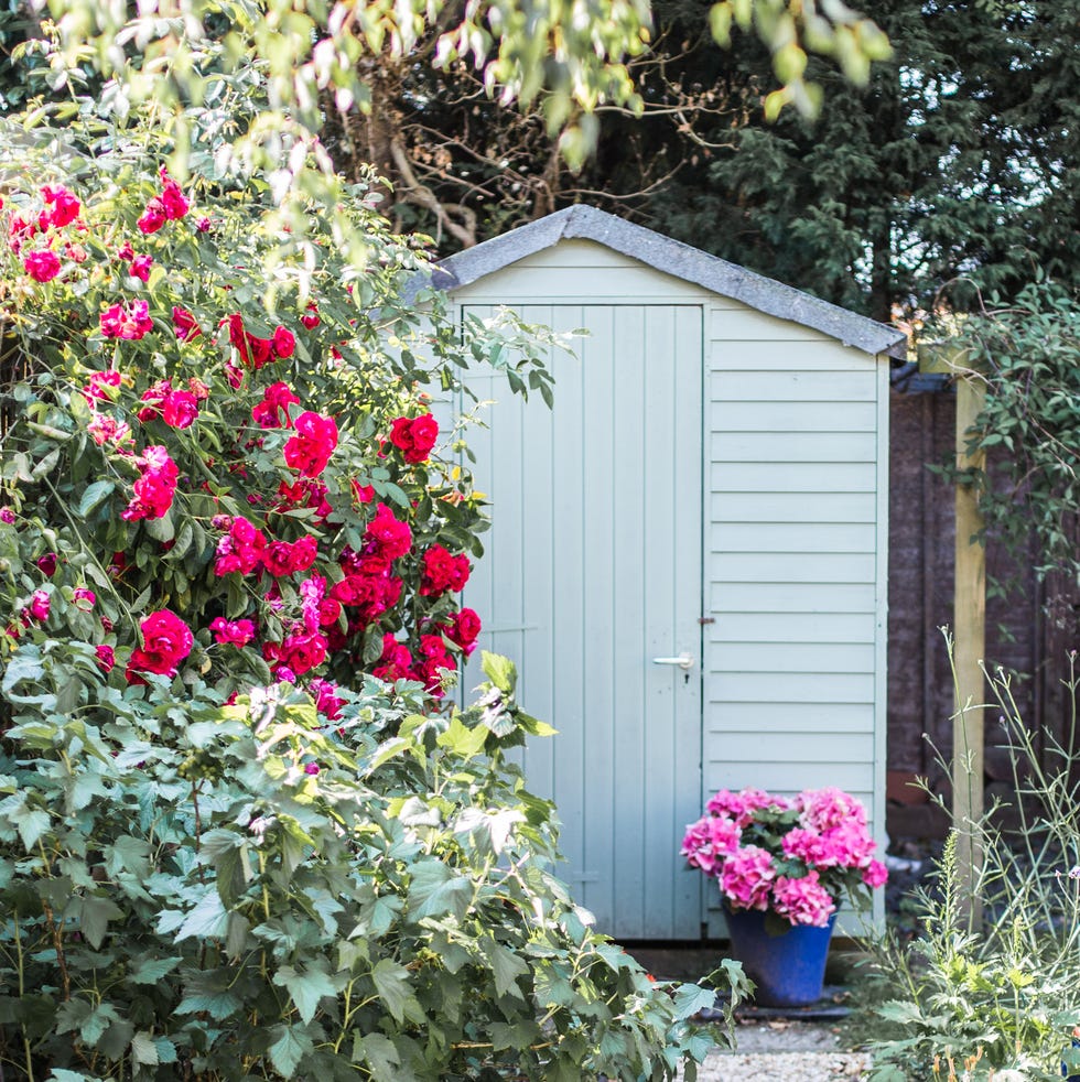 garden shed surrounded by blooming flowers