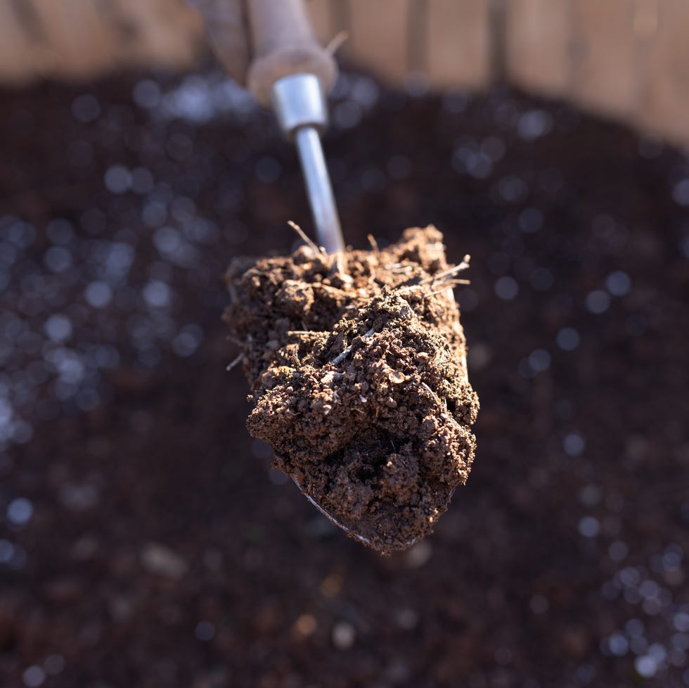 close up of a gardening trowel filled with fertile soil above a raised garden bed in an outdoor setting. concept of sustainable gardening, organic living, and eco friendly practices.