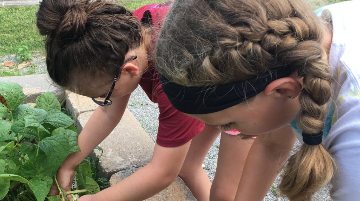 Youth Gardening Offers Creative Learning Opportunities
