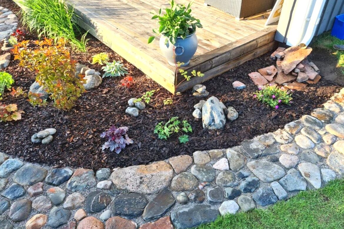 ‘You did a great job’ A gardener's beautiful before-and-after photos prove that even a forgotten corner can become a flourishing masterpiece with the right planning and a little care.