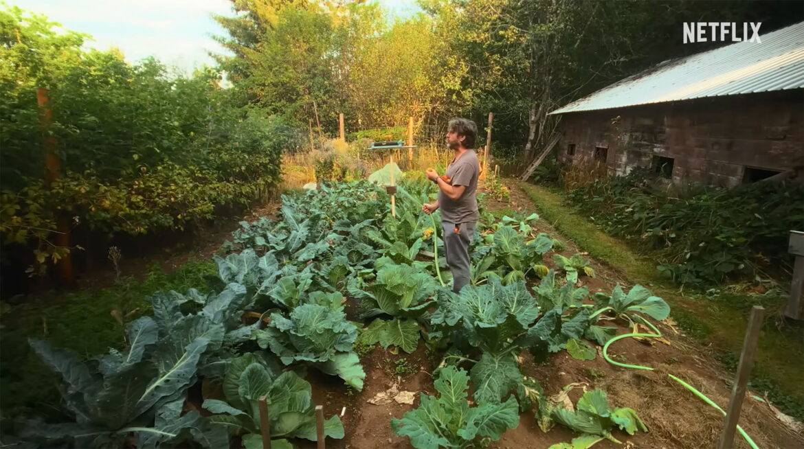 Official Trailer for Zach Galifianakis’s ‘This Is a Gardening Show’ Series Official Trailer for Zach Galifianakis's 'This Is a Gardening Show' Series
