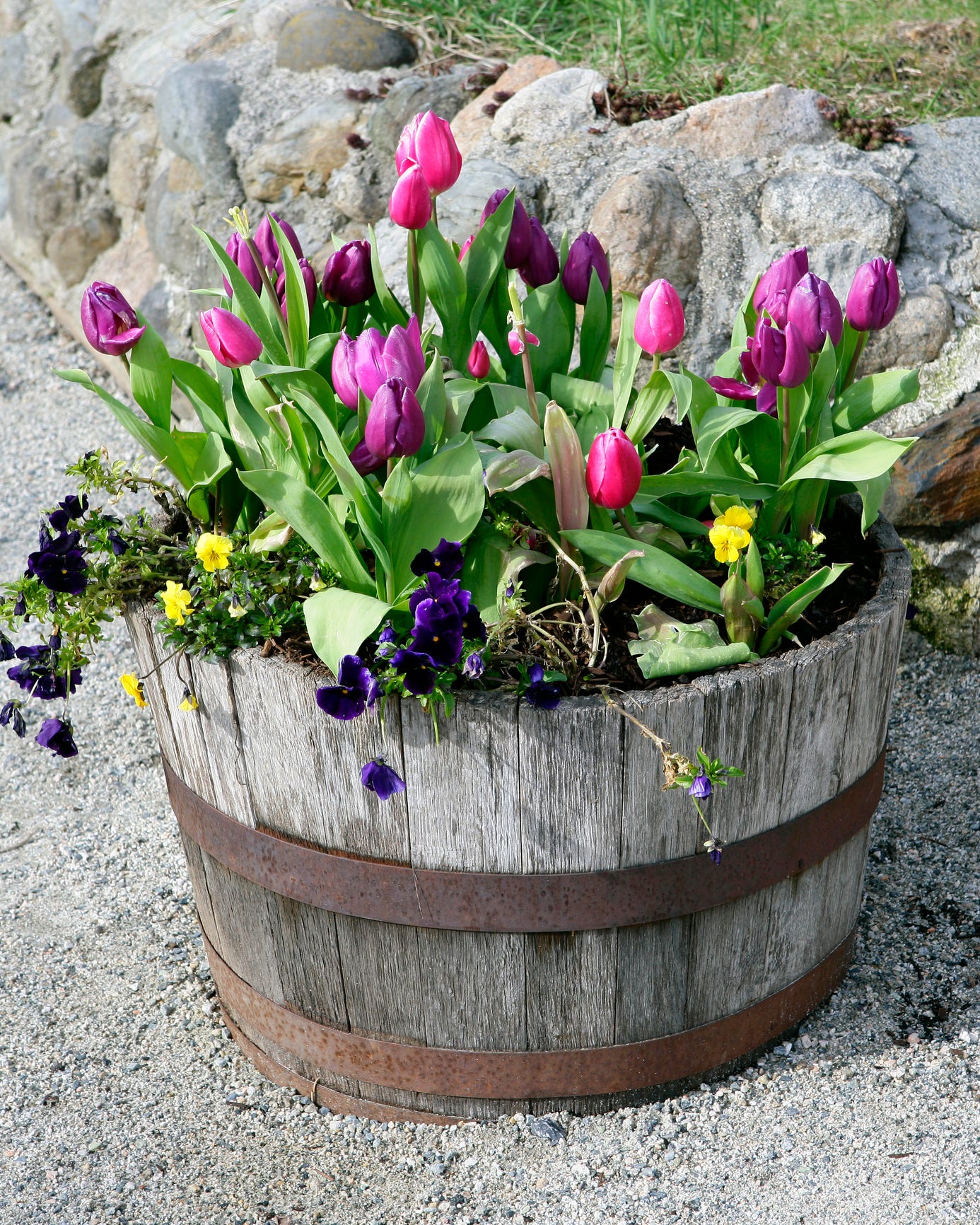 raised garden bed ideas