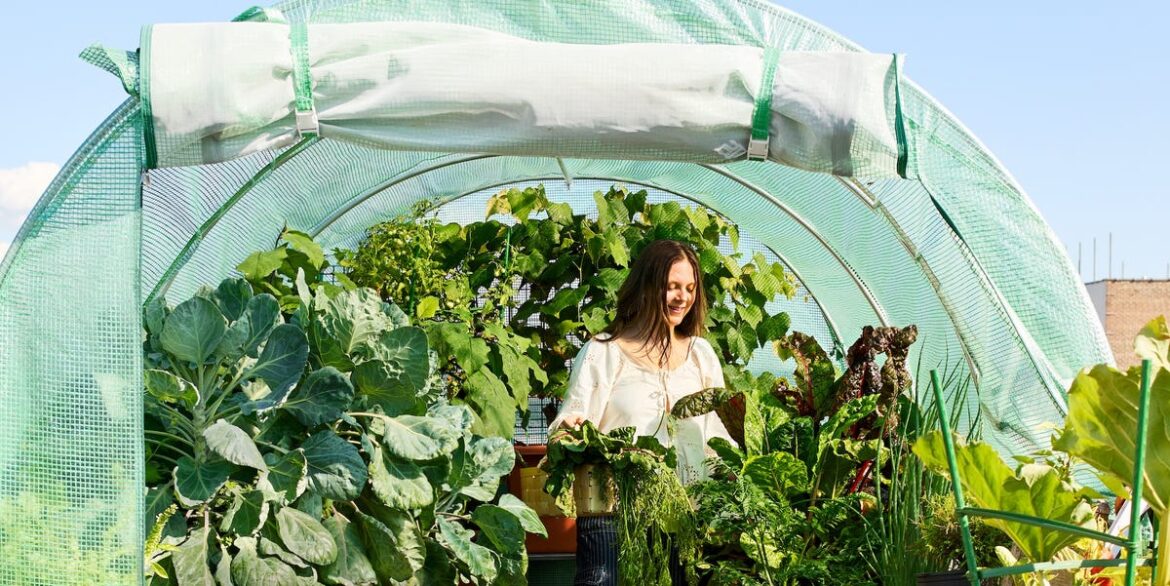 Gardeners Are Obsessed With Greenhouses—Here’s Why Gardeners Are Obsessed With Greenhouses—Here's Why