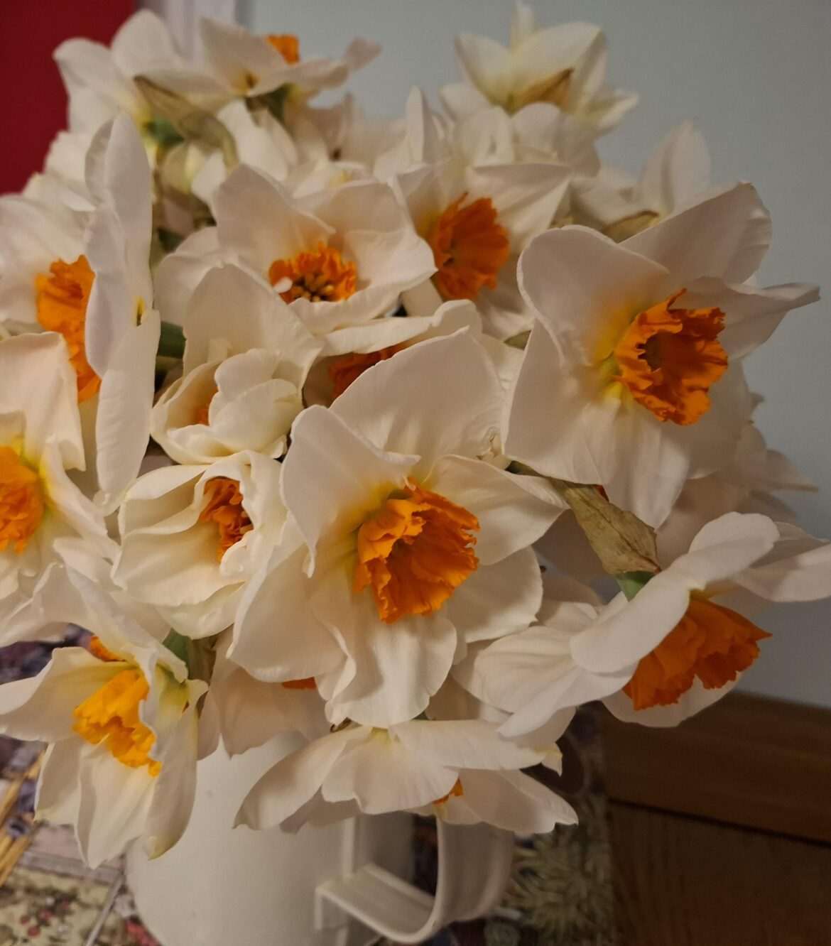 What type of daffodil is this?