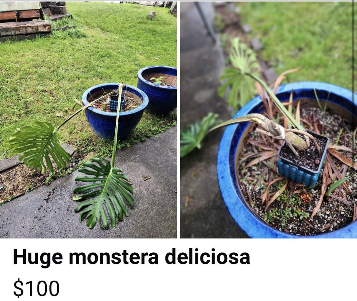 Perfect condition