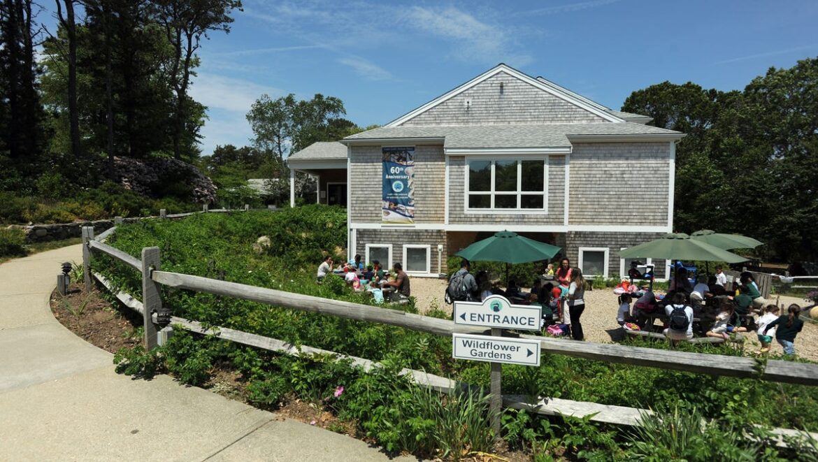 Spring garden prep program at Cape Cod museum March 8