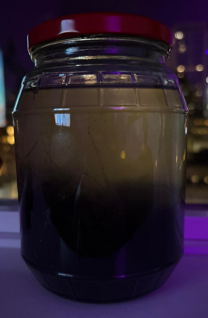 Ten days in, added plants on day three. Should I clear debris off of the water’s surface? Ten days in, added plants on day three. Should I clear debris off of the water’s surface?