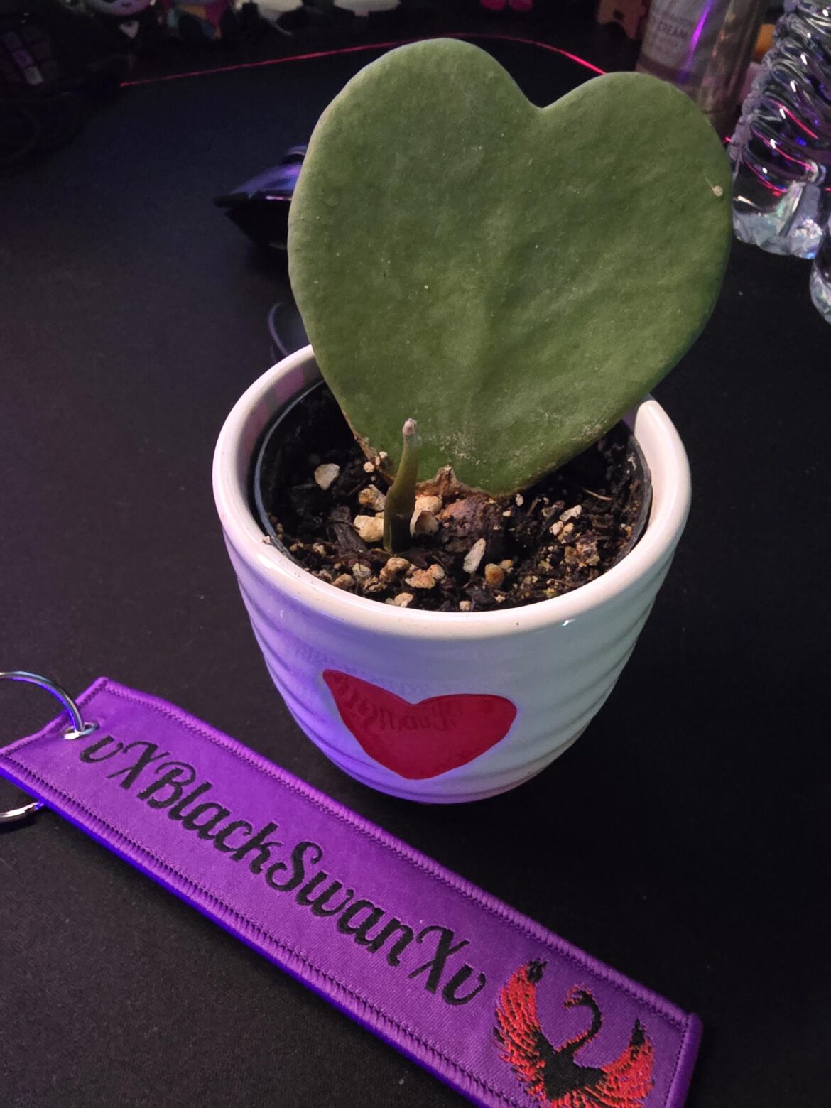 My Kerrii surprised me...