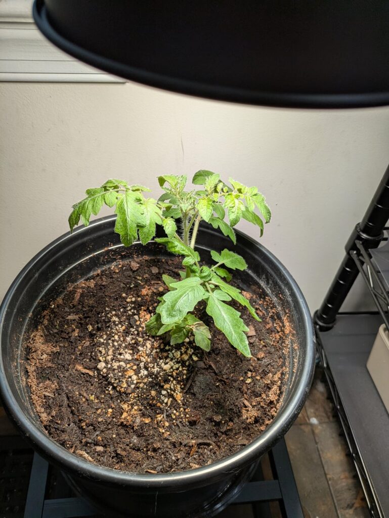 Is everything looking ok?