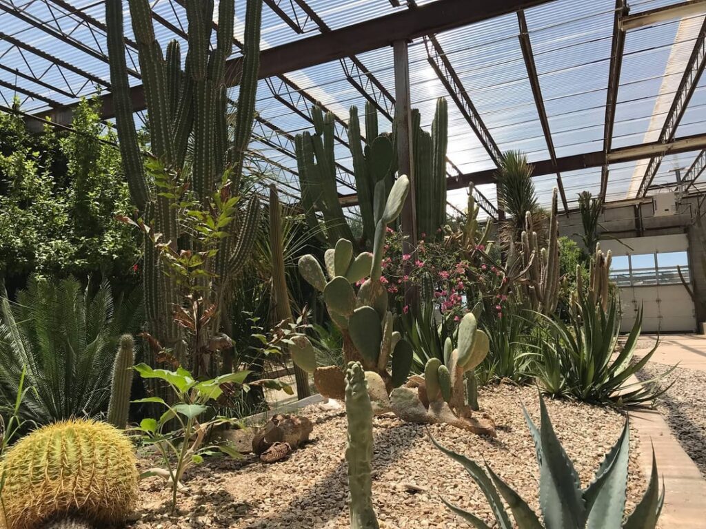 My local wildlife center has an awesome cactus and succulents garden.