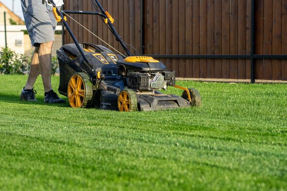 green grass cutting with lawn mower in home garden green grass cutting with lawn mower in home garden