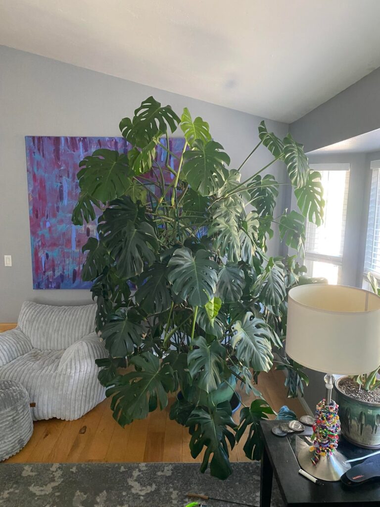 My wife says it’s too big?