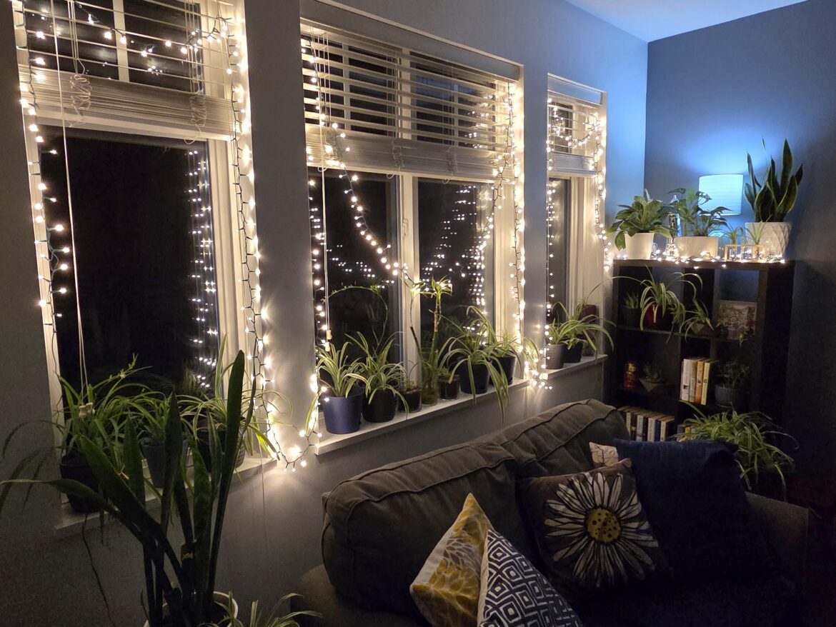 My little bit of peace...