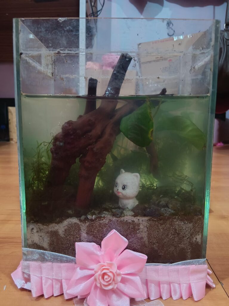 First ecosphere help