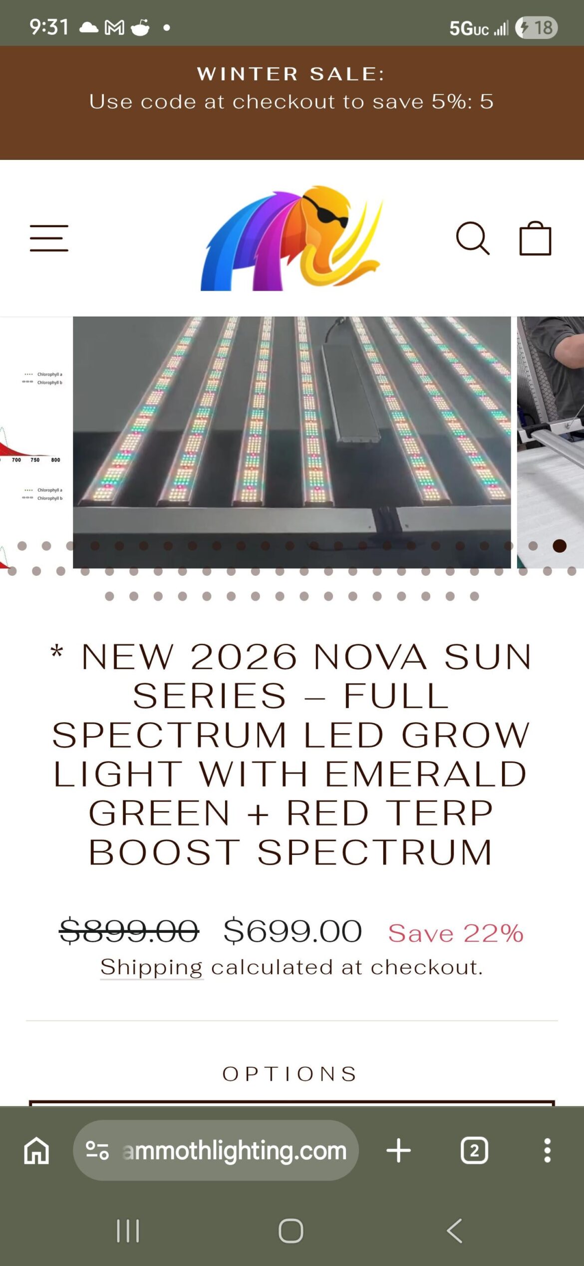 Question about seedlings lighting