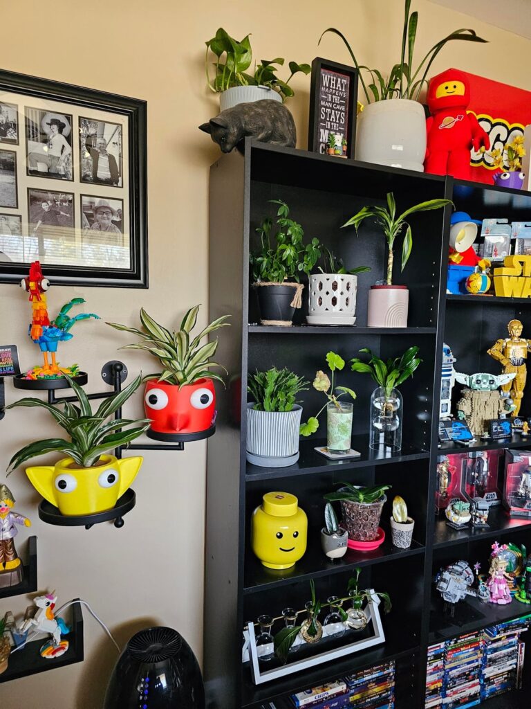 No Virtual Background for Me