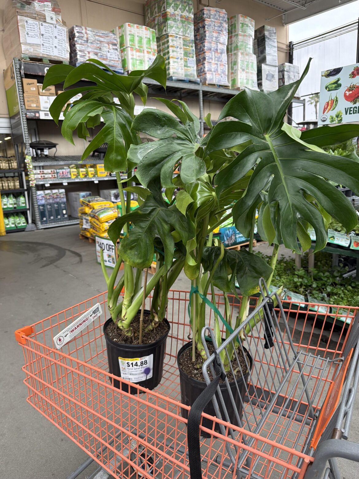 $7.44 each, do we think they where worth it ?