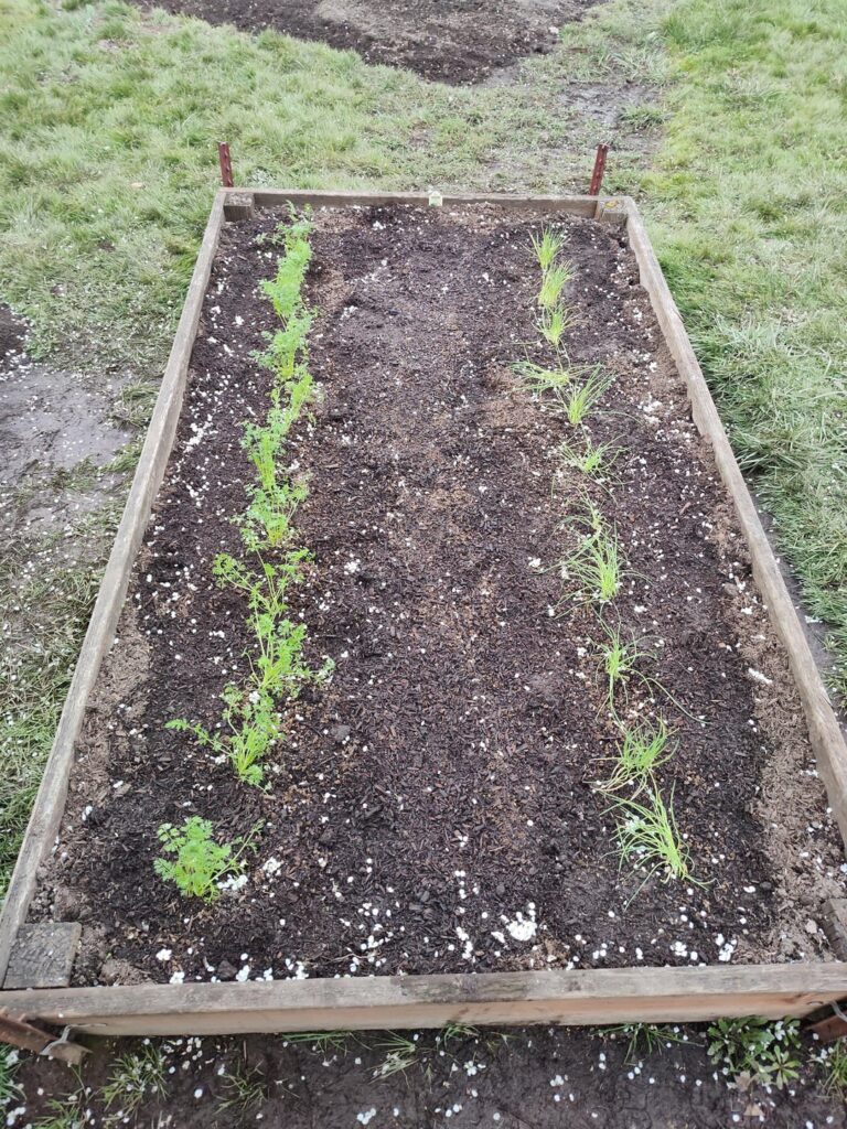 First time First time