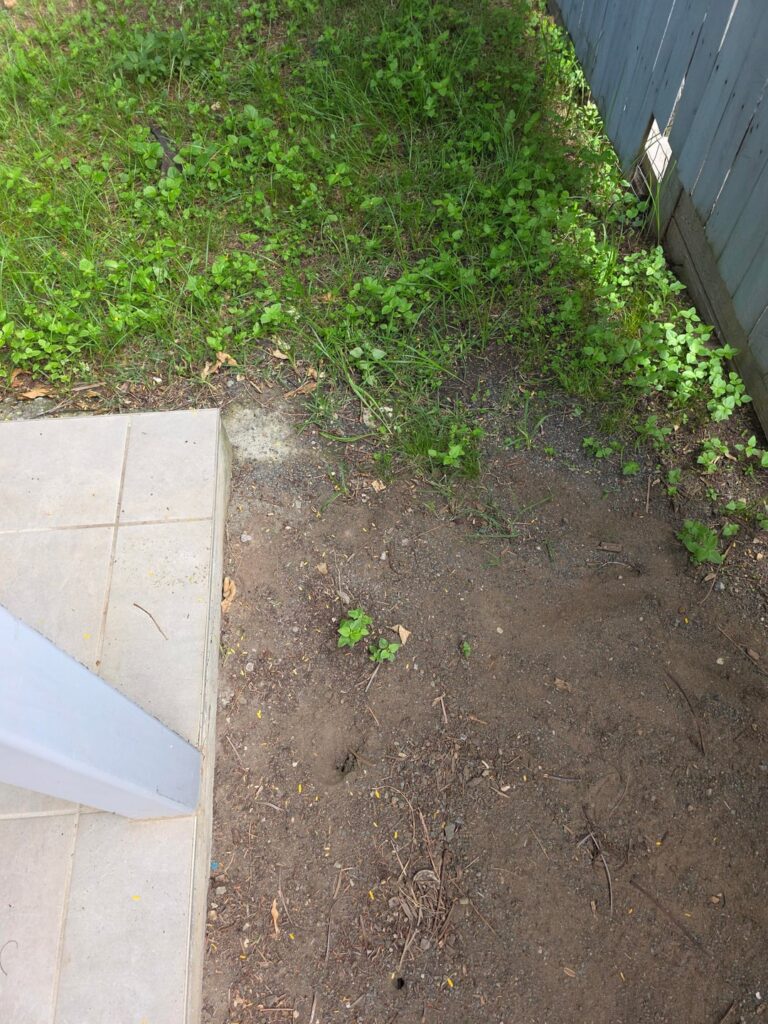 Back patio slab fill in advice