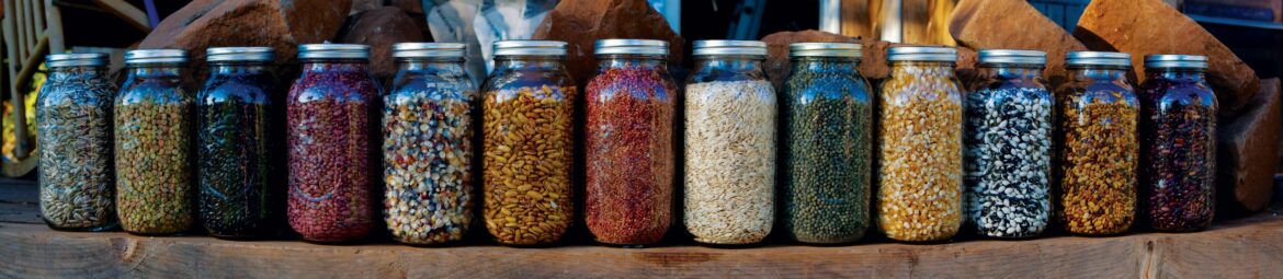 Free Seed Saving 101 Webinar 4/18/26