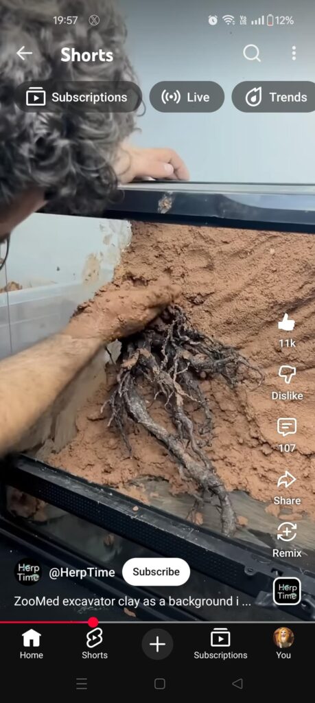 Is clay background suitable?