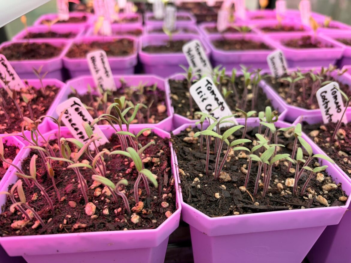 It never gets old...