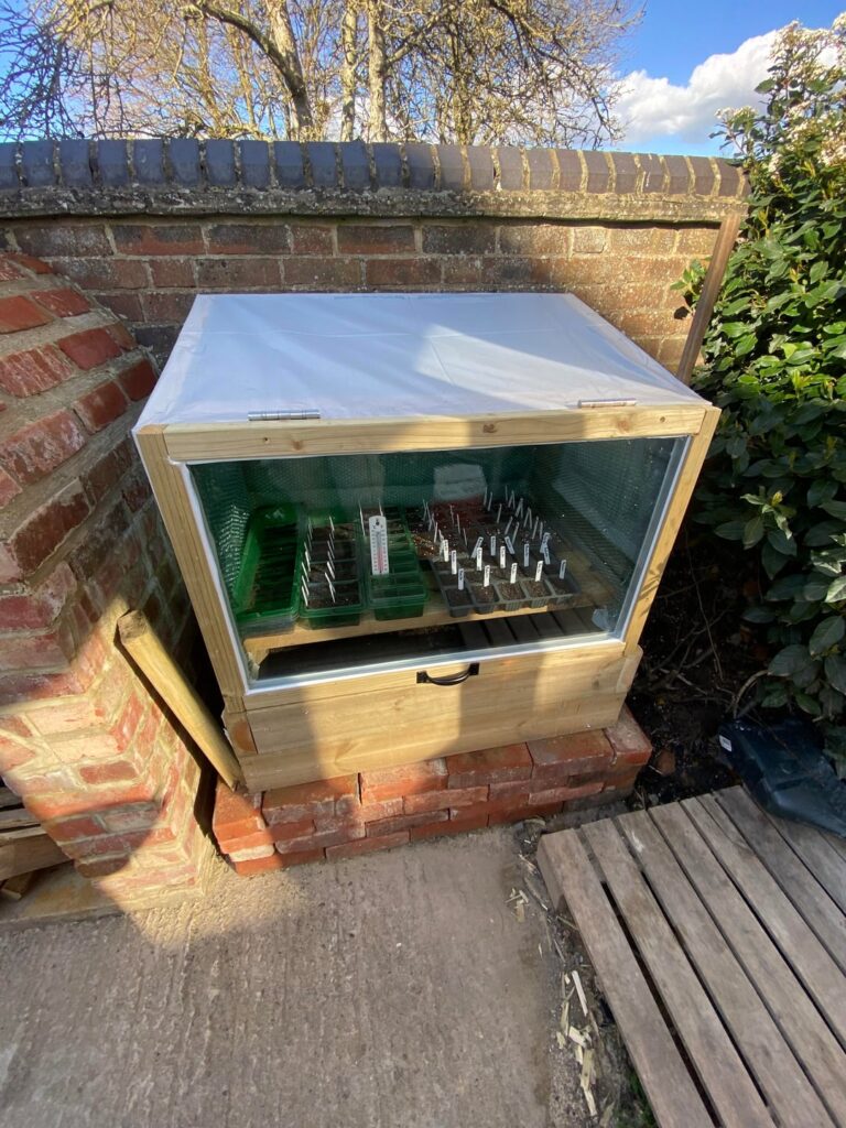 Update on the DIY propagator