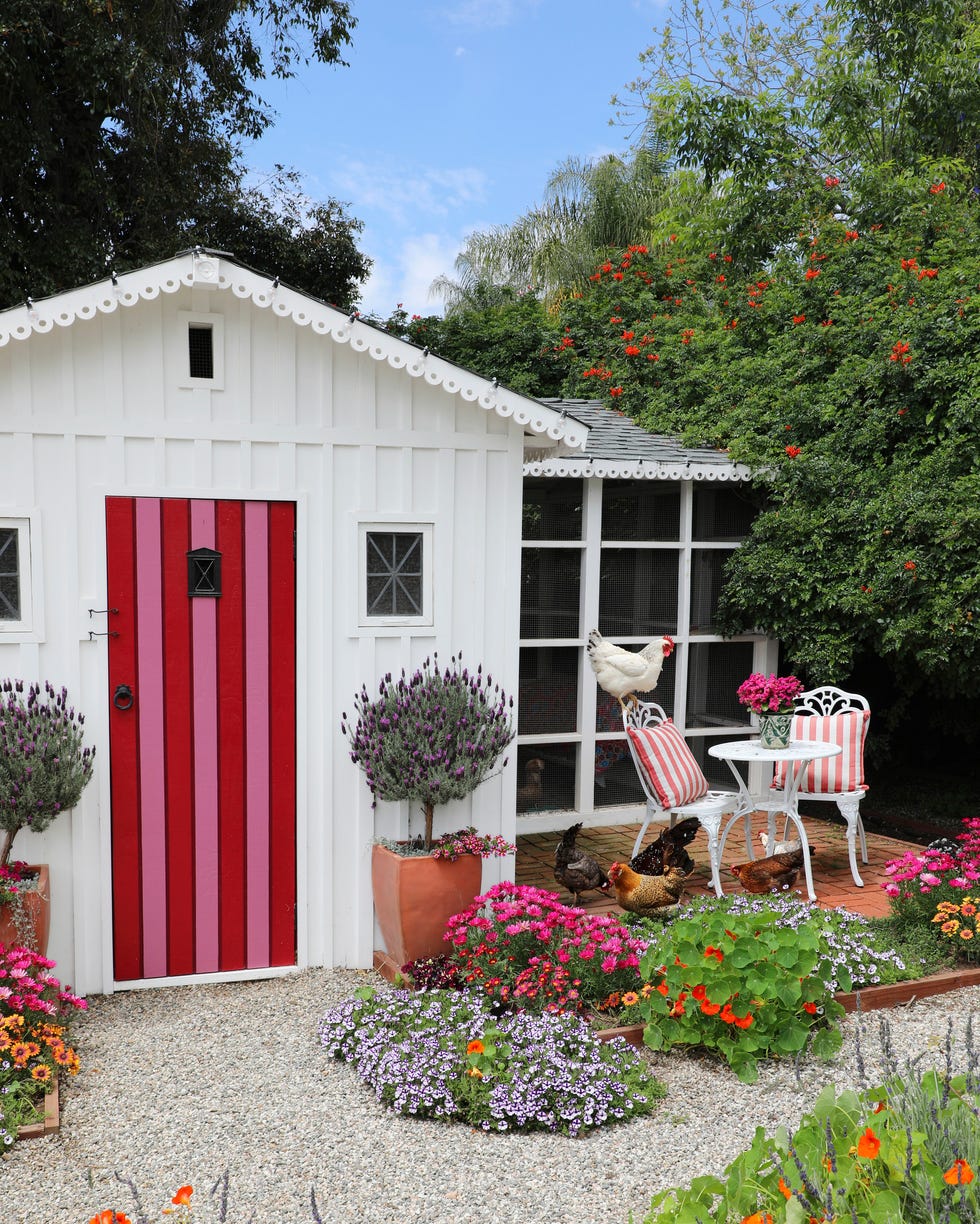 kate richards chicken coop colorful chicken coop in pea gravel garden