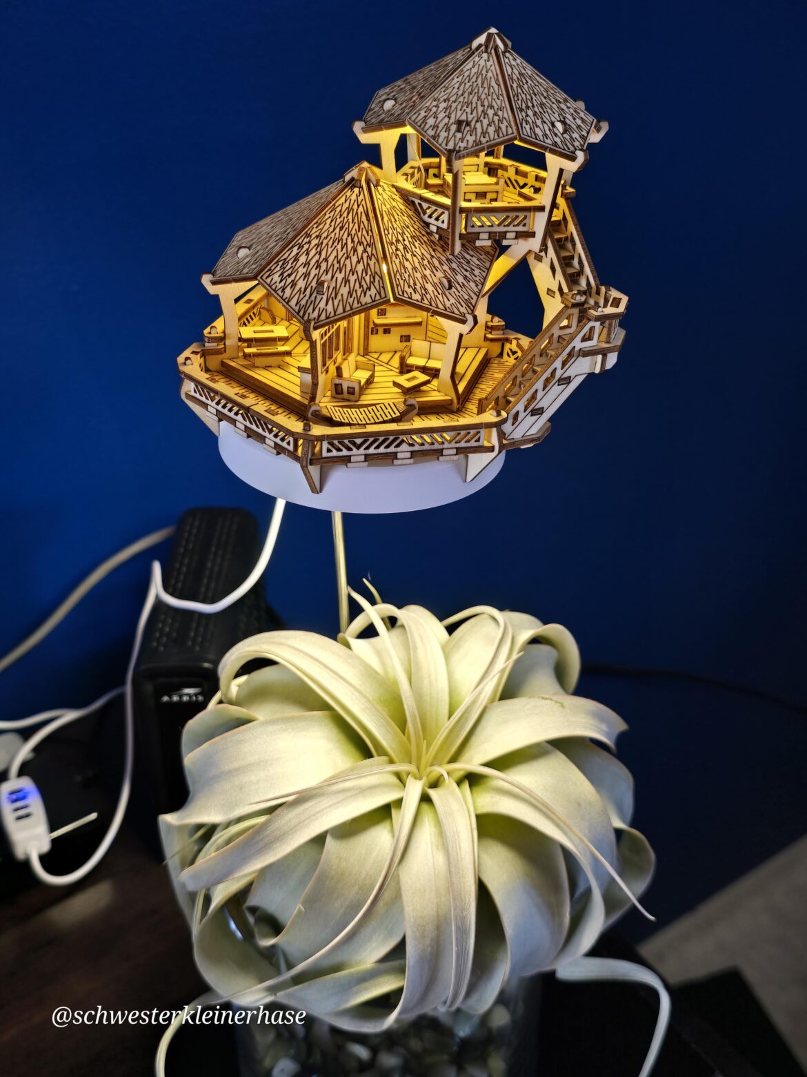 New friend got a tiny little house