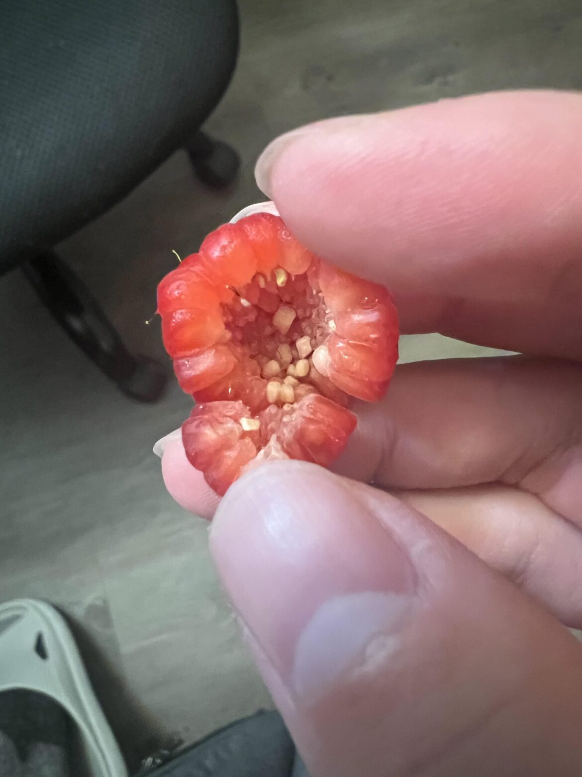 mutated raspberry?