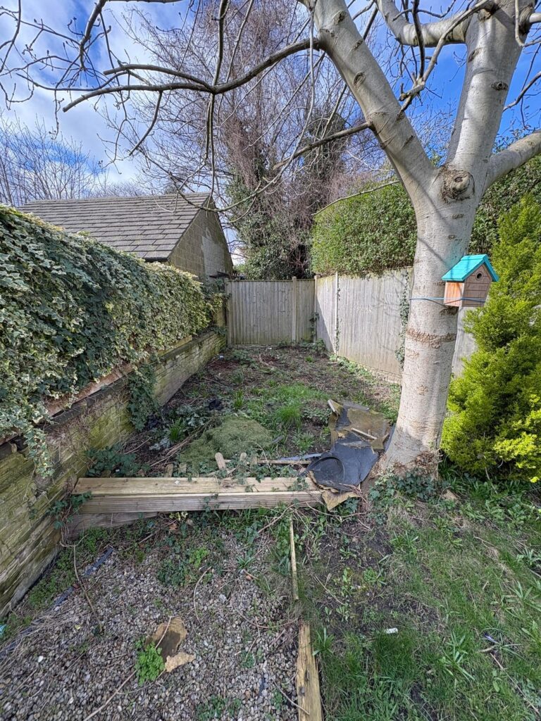 Help me decide what to do with this area of my garden