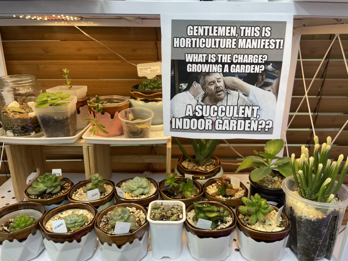 I always read “SUCCULENT” in that voice. Now you will too!