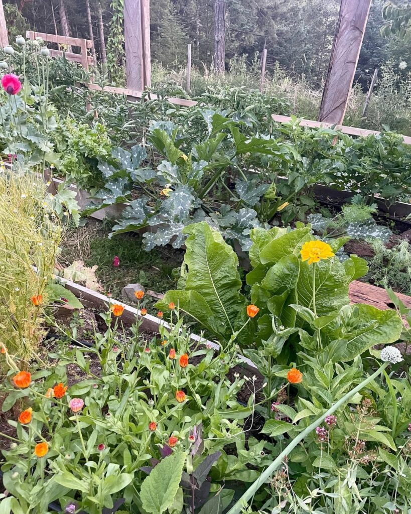 Nothing Beats the Food You Grow Yourself