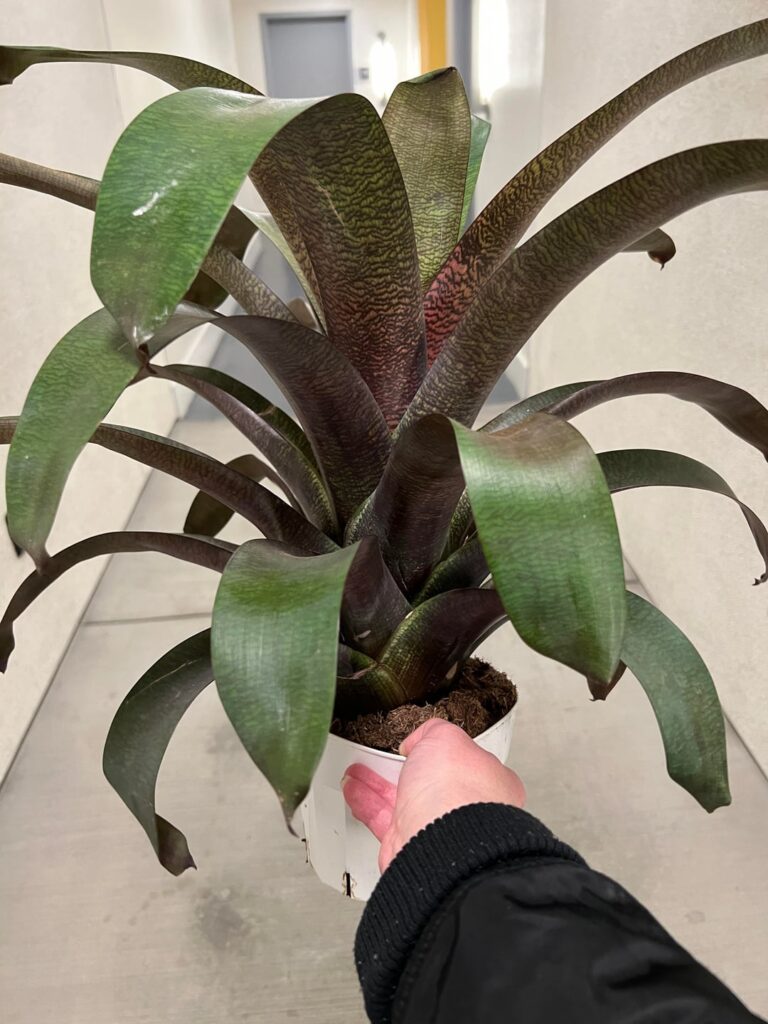 Someone threw this away! (help)