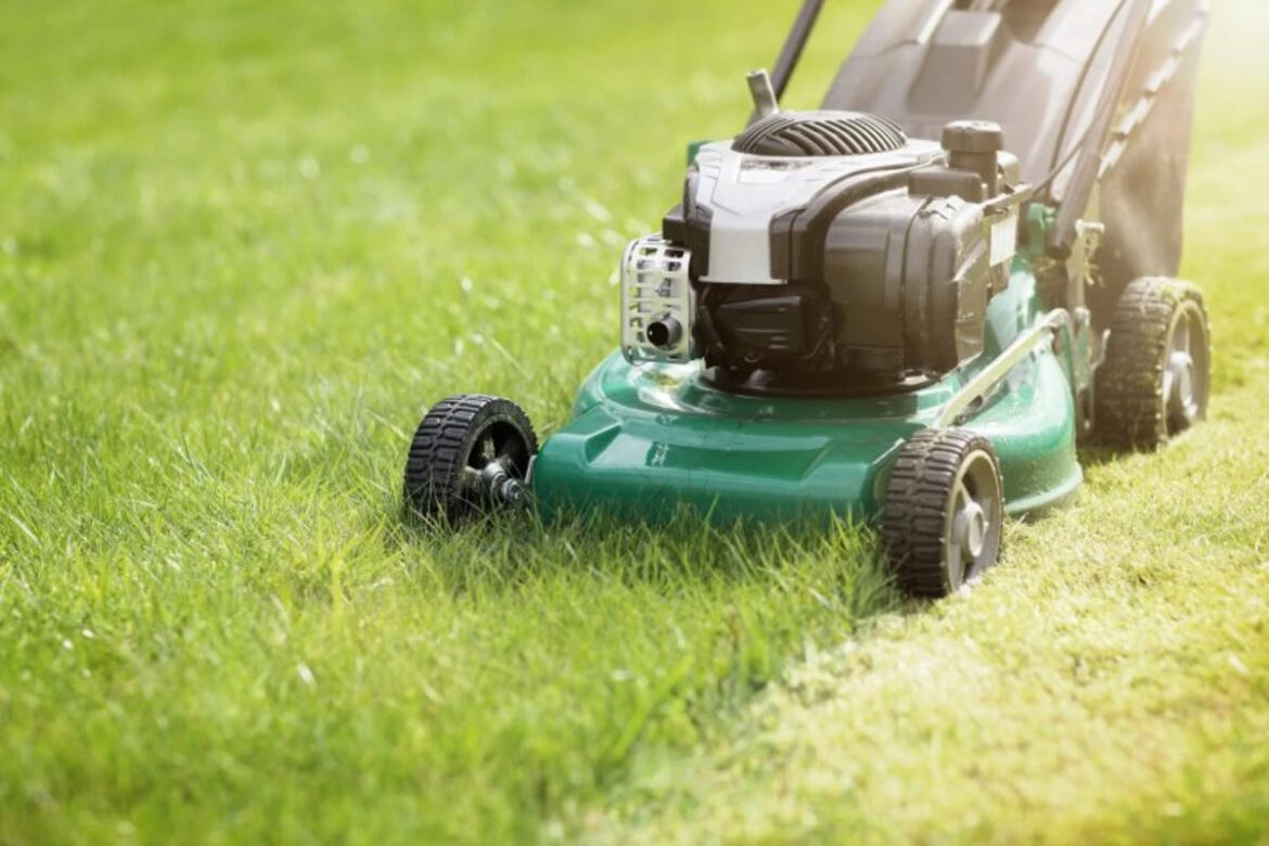 How Denver homeowners can protect their lawns, gardens during weather shifts