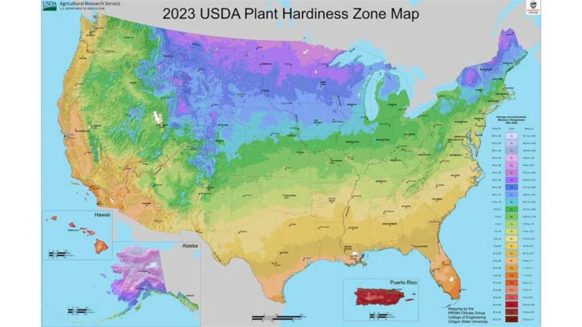 What is a gardening zone, and how can it help your planting? What is a gardening zone, and how can it help your planting?