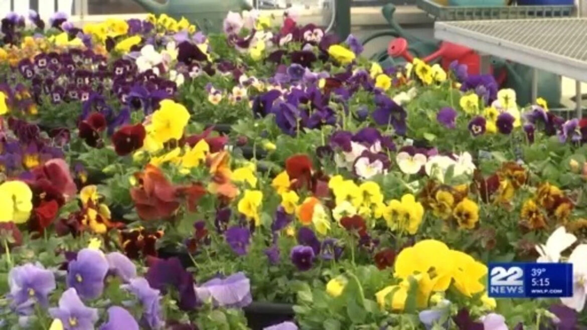 Get a head start on spring planting with indoor seeds
