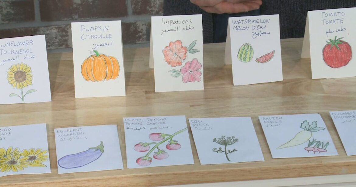 Free seed exchange and gardening tips – CTVNews