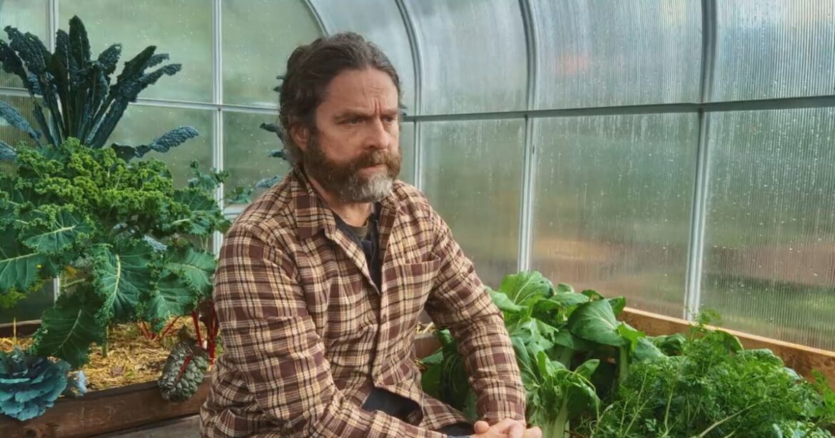 Zach Galifianakis’ new gardening show shot in B.C. – CTVNews