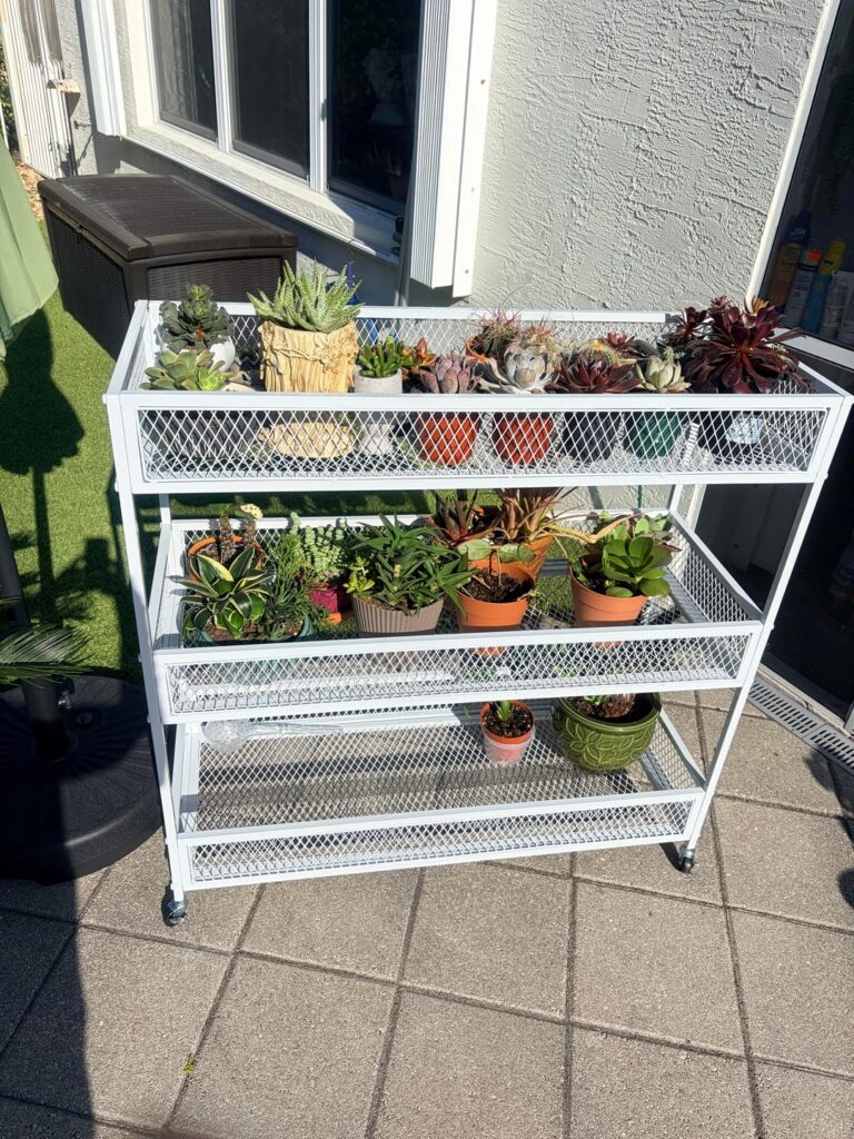 My new rolling cart