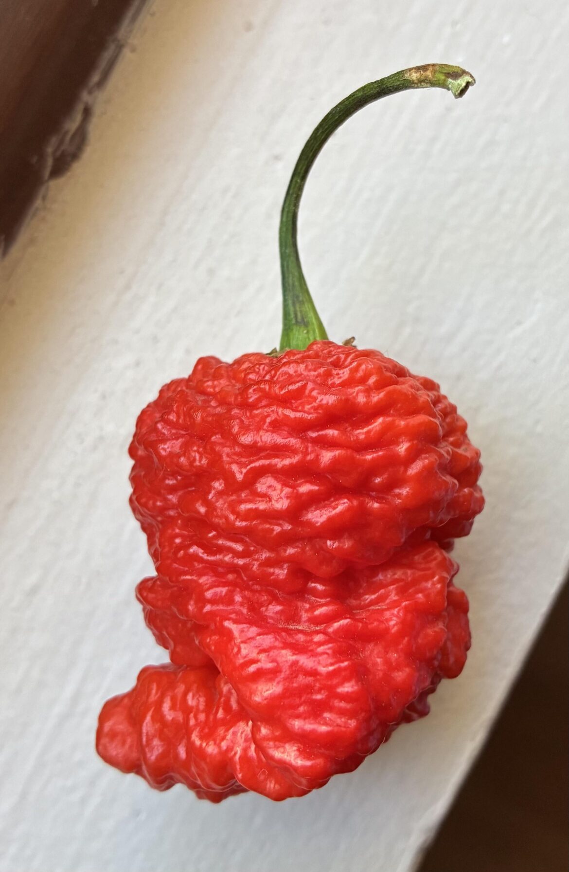 Any ID on this one?
