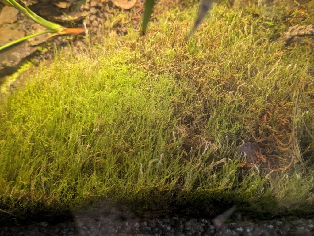 Advice needed for ongoing project. Advice needed for ongoing project.