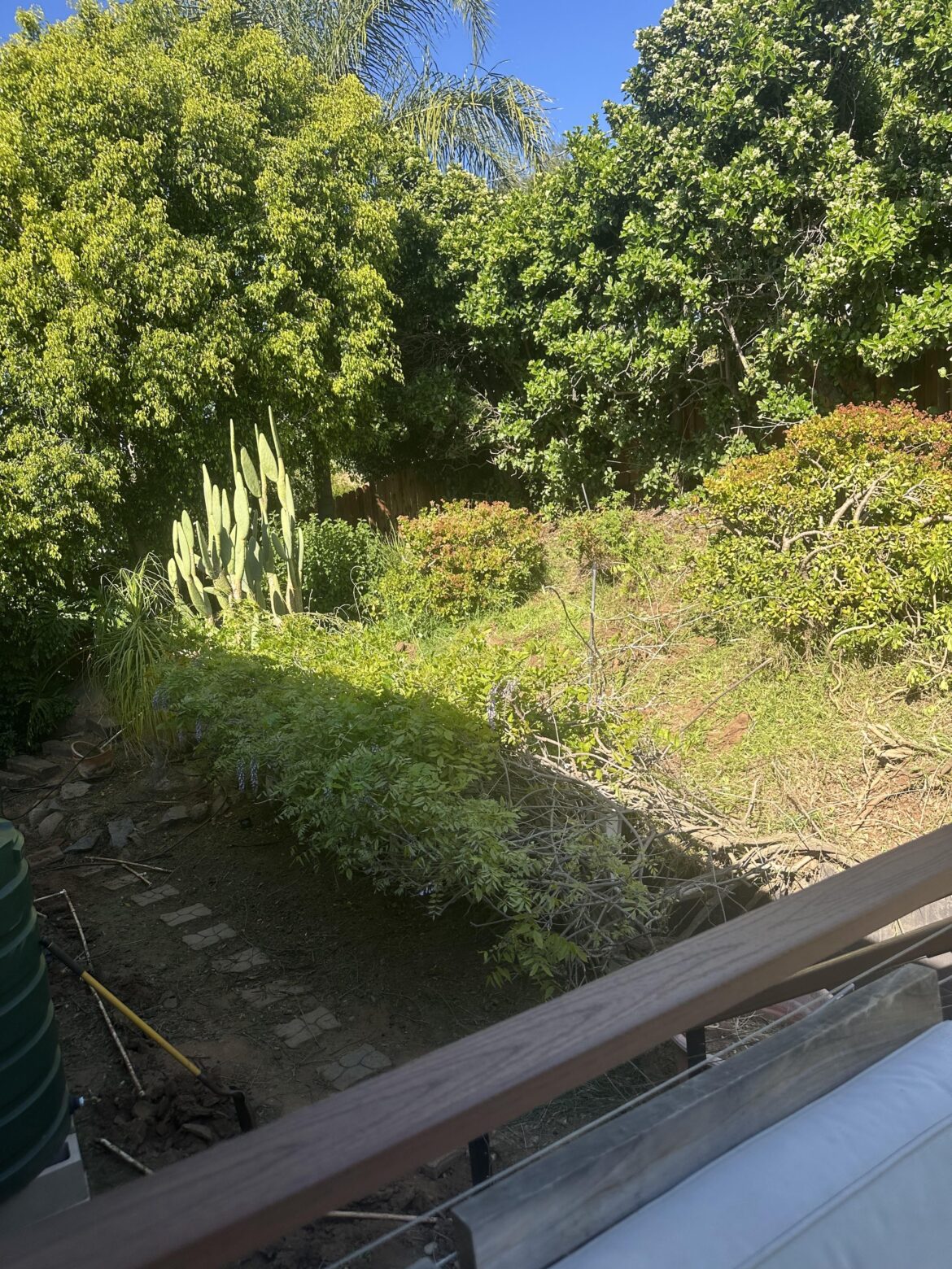 How do I prevent slope erosion when removing these plants How do I prevent slope erosion when removing these plants