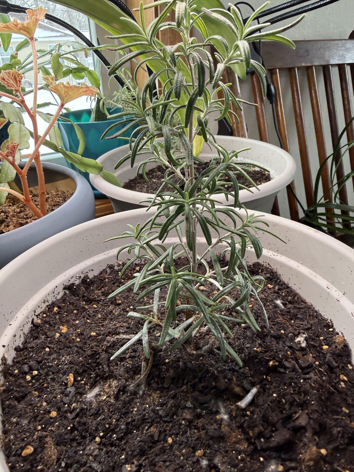Not exactly a proplifting but still kinda sneaky