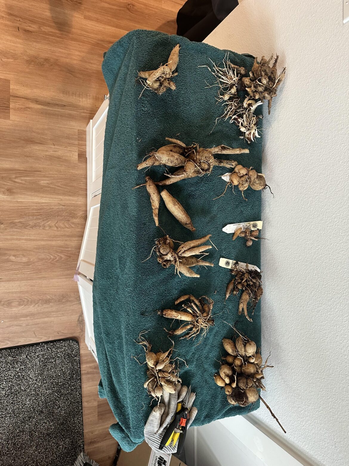 Wish Me Luck! Wish Me Luck!