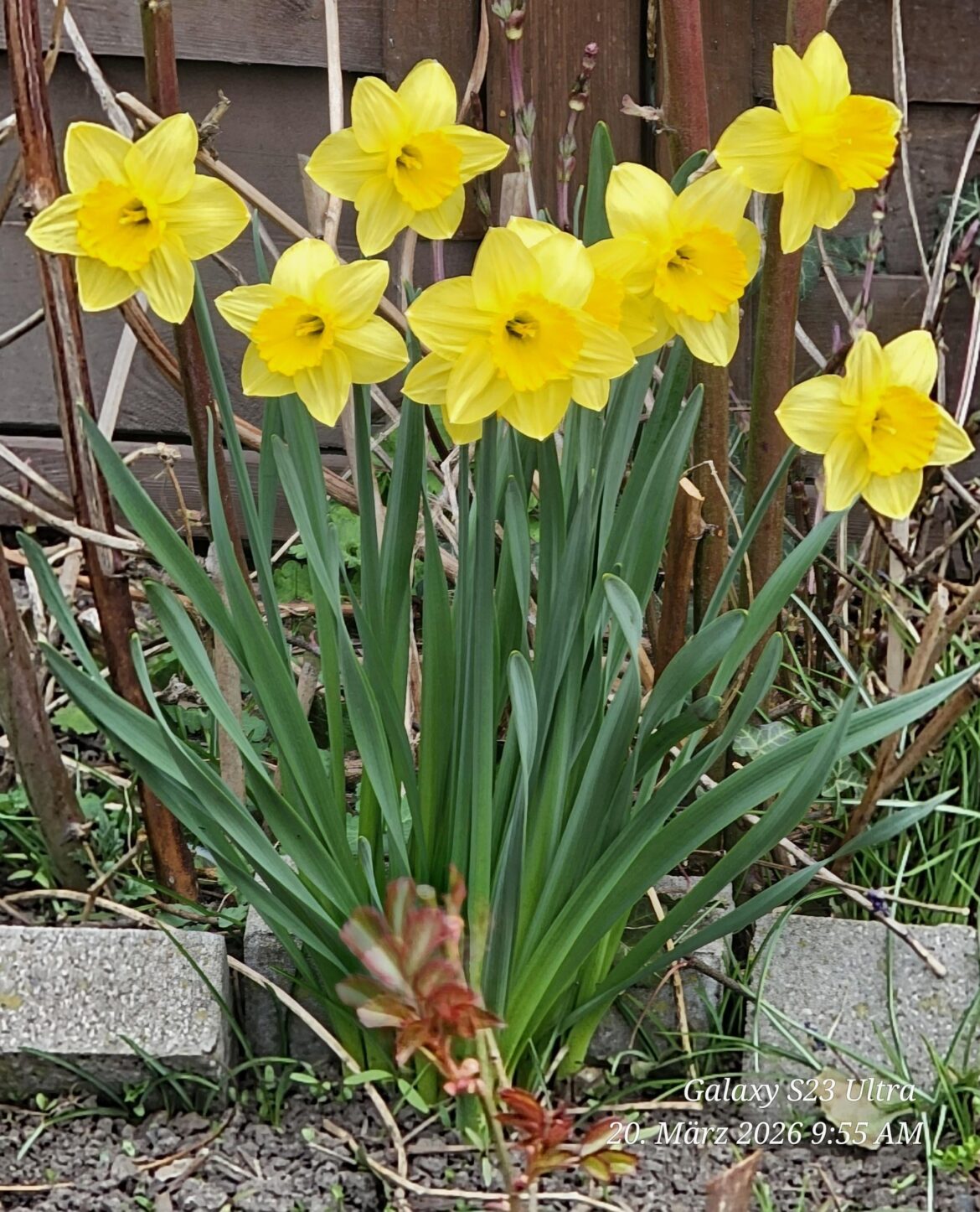 Die Sonne genießen.