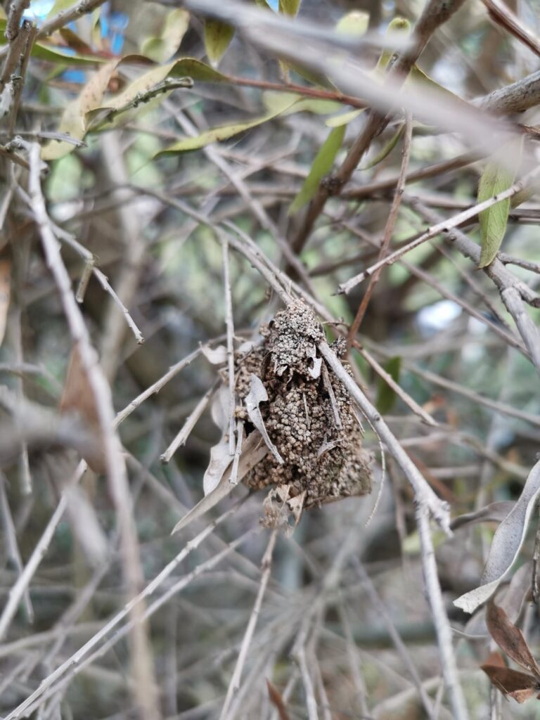What's this? Friend or foe?